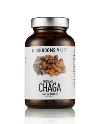mushrooms4life-chaga-biologische-paddenstoel-60-capsules